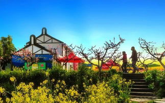 2019上海金山田野百花節最全攻略