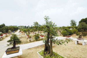 南陽日?qǐng)?bào)多媒體數(shù)字報(bào)刊平臺(tái),南陽日?qǐng)?bào)多媒體數(shù)字報(bào)刊平臺(tái),南陽,南陽日?qǐng)?bào),南陽網(wǎng),南陽社區(qū)