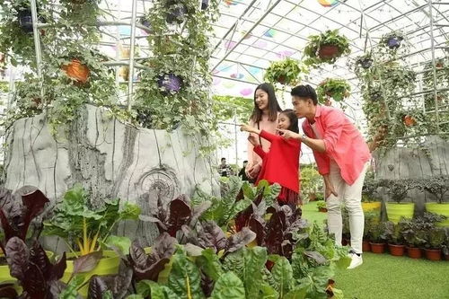 佛山首座5d炸裂玻璃橋,199元2大2小走起 高空飛索山頂直落 機(jī)動(dòng)樂園 山泉水泳場(chǎng)任玩