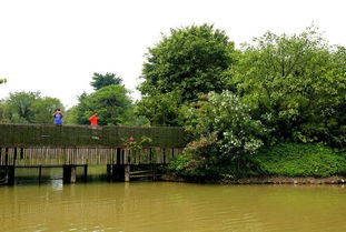 廣州南沙水鳥世界生態(tài)園