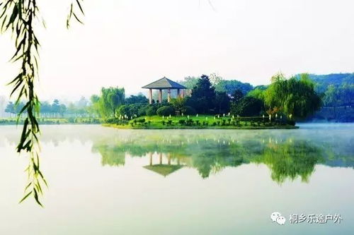 送土雞9月19號(hào)周二 靈谷冬,龍背山,華東百暢生態(tài)園,包門(mén)票,包中餐,包無(wú)購(gòu)物,再送鮮活土雞 旅游 網(wǎng)