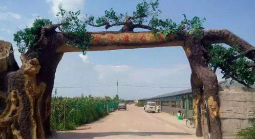 什么 僅需1元即可搶購(gòu)這個(gè)灤州生態(tài)園的綠色生菜一大顆,這里還有菜地可認(rèn)養(yǎng)