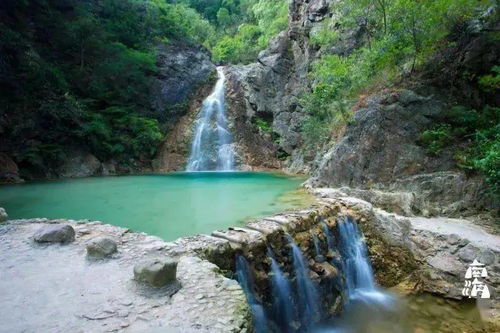 破局出圈，是每個人都該有的勇氣——九龍?zhí)渡鷳B(tài)園啟示錄
