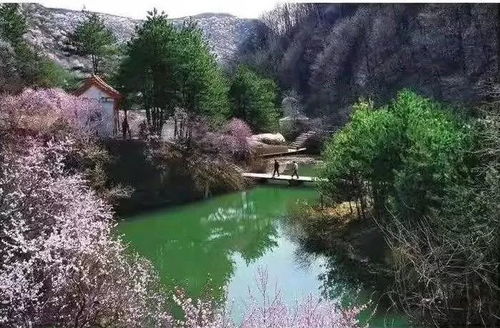 米家溝寫意——平?jīng)鋈蛴紊⒂浿?九龍?zhí)渡鷳B(tài)園