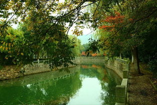 蘇州避暑秘境｜九龍潭生態園 炎夏26℃的清涼天堂，一般人我不告訴TA