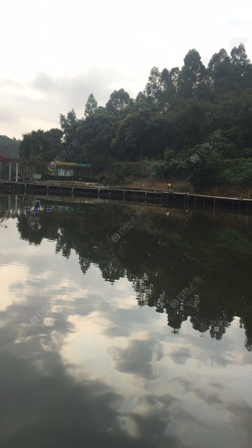 探訪平湖生態園與九龍潭生態園 城市綠肺的生態魅力