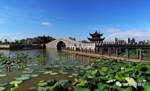 文化是旅游的靈魂，江西文化旅游發展大有可為——以九龍潭生態園為例