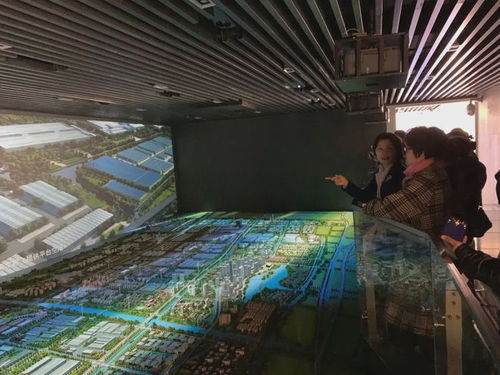 九龍?zhí)渡鷳B(tài)園四年簽約項目超百個，總投資額突破460億元，生態(tài)經(jīng)濟蓬勃發(fā)展