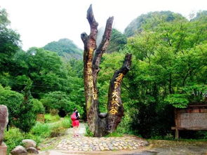 16周歲以下免票游世遺，668元泰寧雙動車2日游 大金湖、寨下大峽谷、九龍?zhí)丁⑸袝谌[