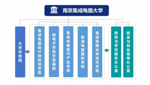 電子信息類專業(yè) 探索芯片世界與軟件開(kāi)發(fā)的核心橋梁